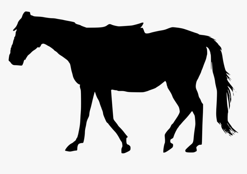 Horse Silhouette Vector Png Download - Transparent Background Horse Silhouette Png, Png Download, Free Download