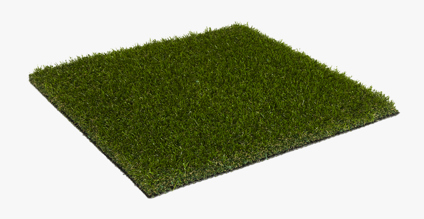 Lawn, HD Png Download - kindpng