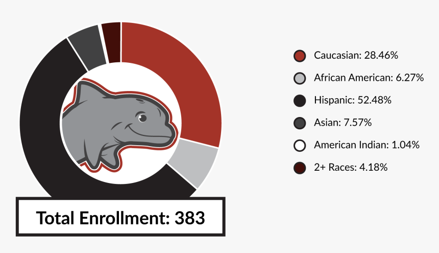 Total Enrollment 383 Caucasian - Cartoon, HD Png Download, Free Download