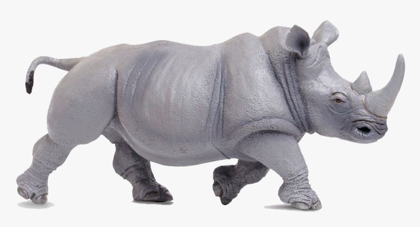 Transparent Rhinoceros Png - Rhinoceros, Png Download, Free Download