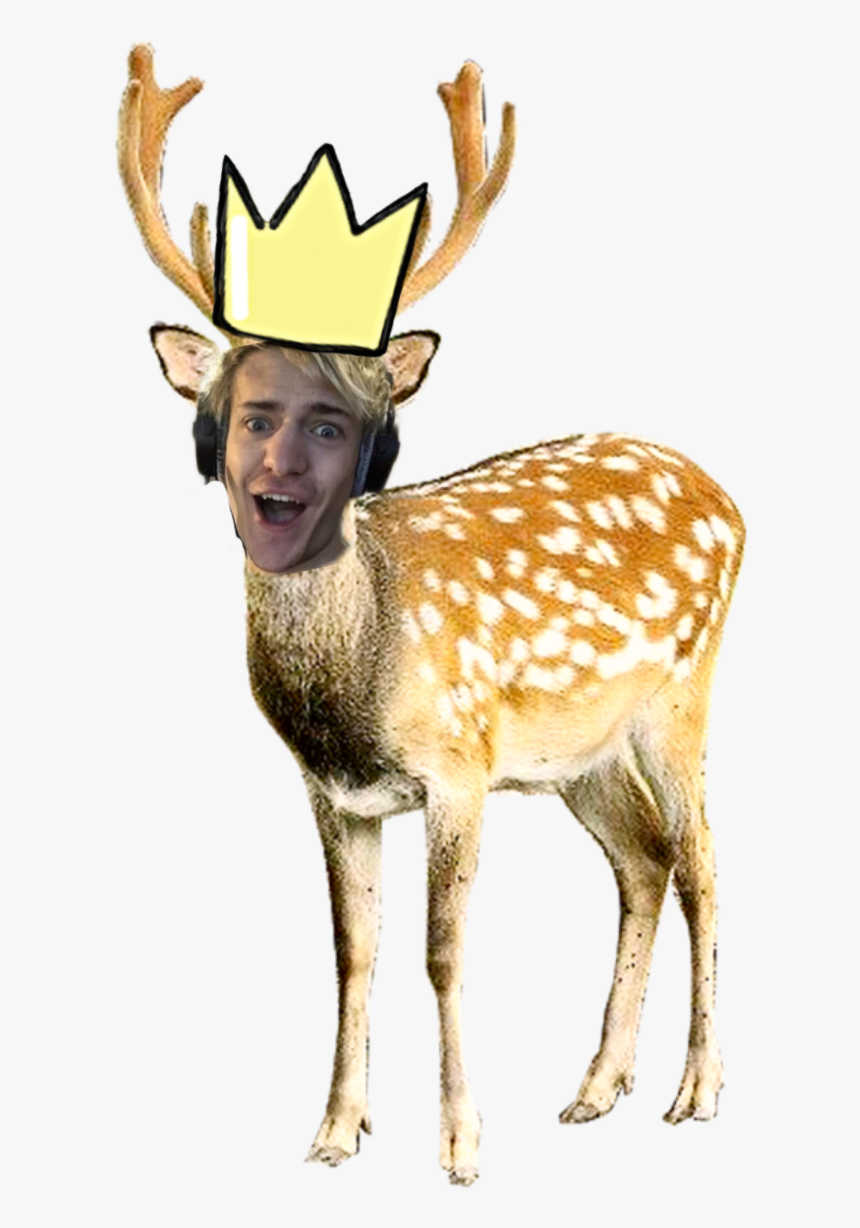 #ninja #fortnite #deer - Deer Png, Transparent Png, Free Download