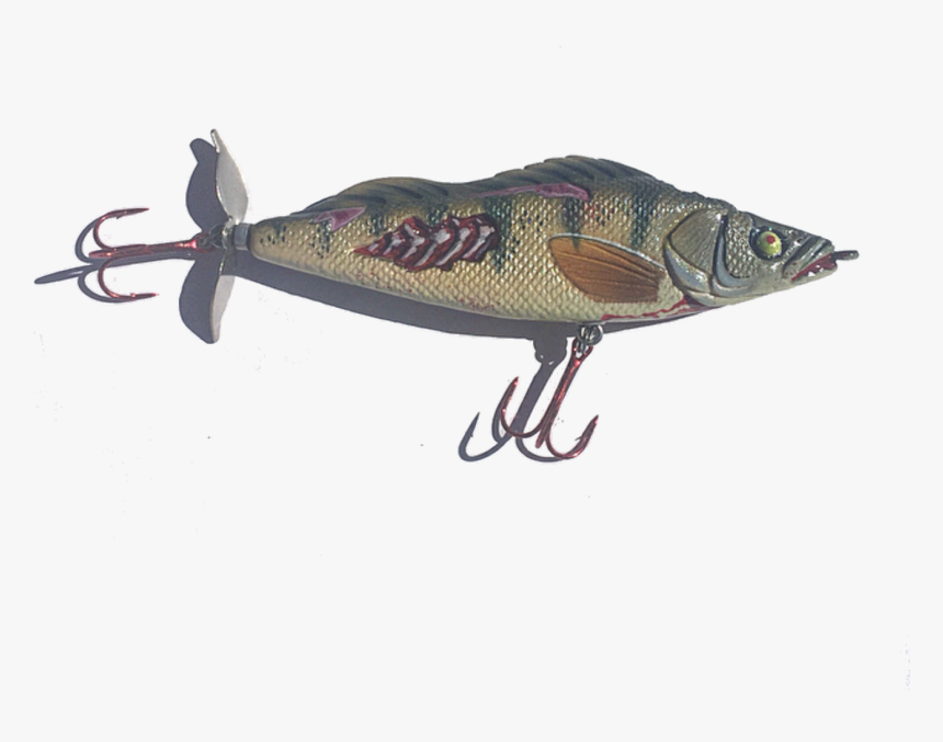 Perch, HD Png Download, Free Download