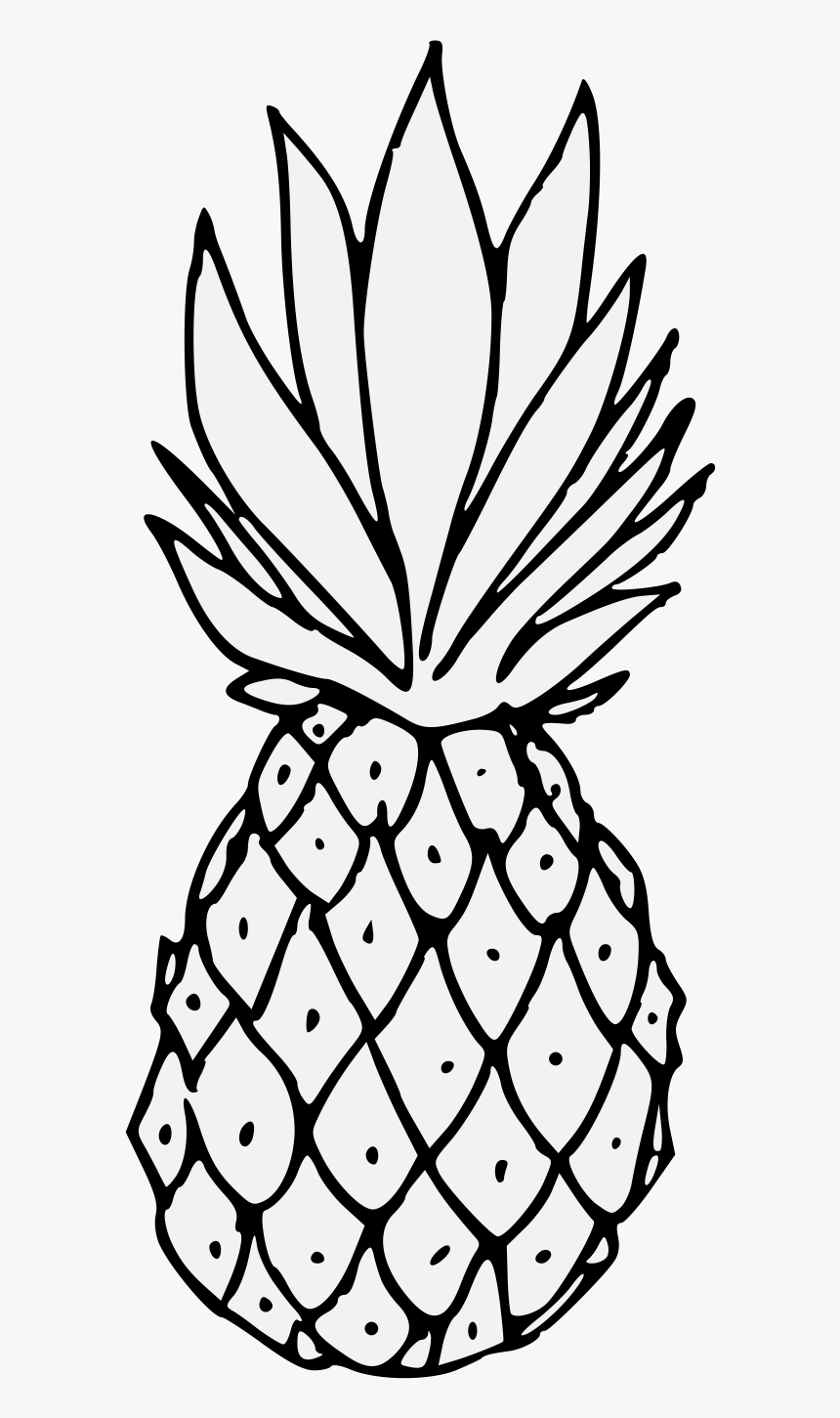 Pineapple Drawing Cute Vector Images (over 3,400)