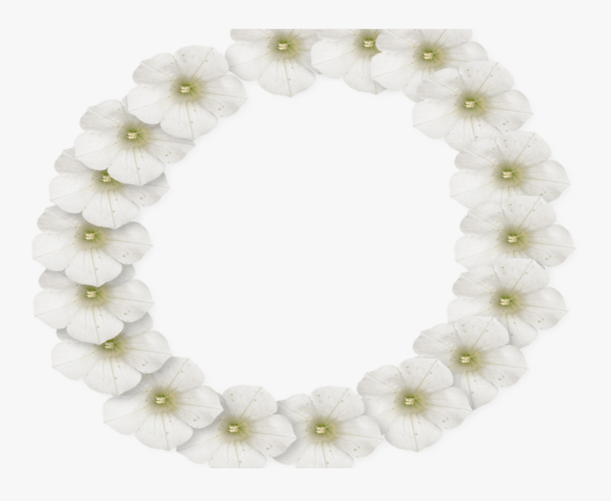 White Flower Frame Png Photo Peoplepngcom Peoplepngcom - Petunia, Transparent Png, Free Download