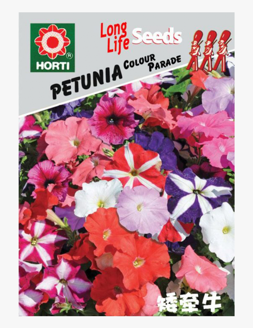 Petunia Pianta, HD Png Download, Free Download