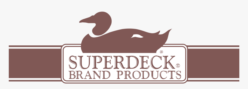 Duck, HD Png Download, Free Download