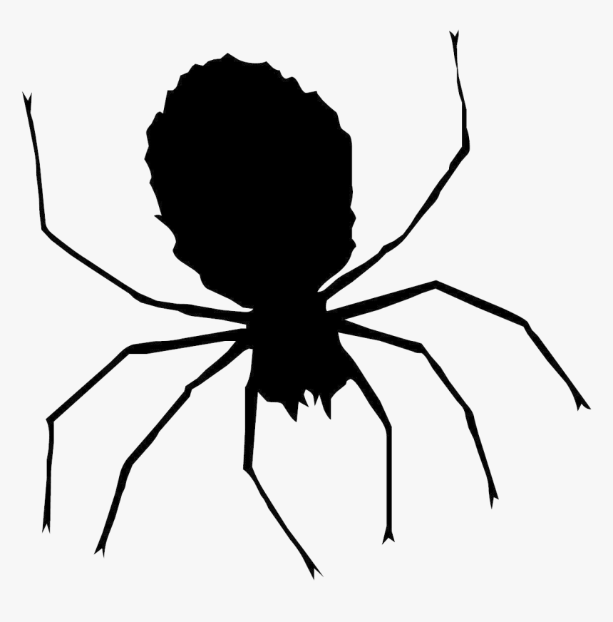 Spider Clipart Transparent Png - Halloween Vector Spider Png, Png Download, Free Download