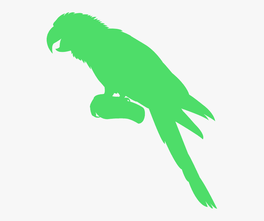 Macaw Silhouette, HD Png Download, Free Download