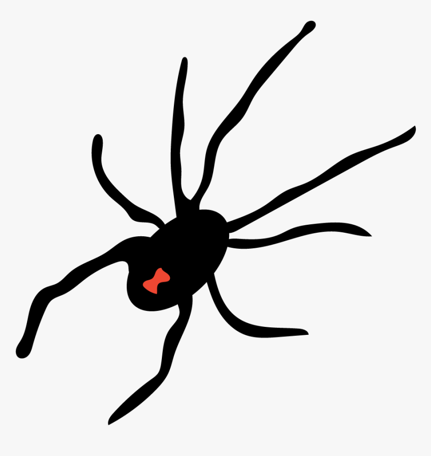 Black Widow Spider Clipart , Png Download - Membrane-winged Insect, Transparent Png, Free Download