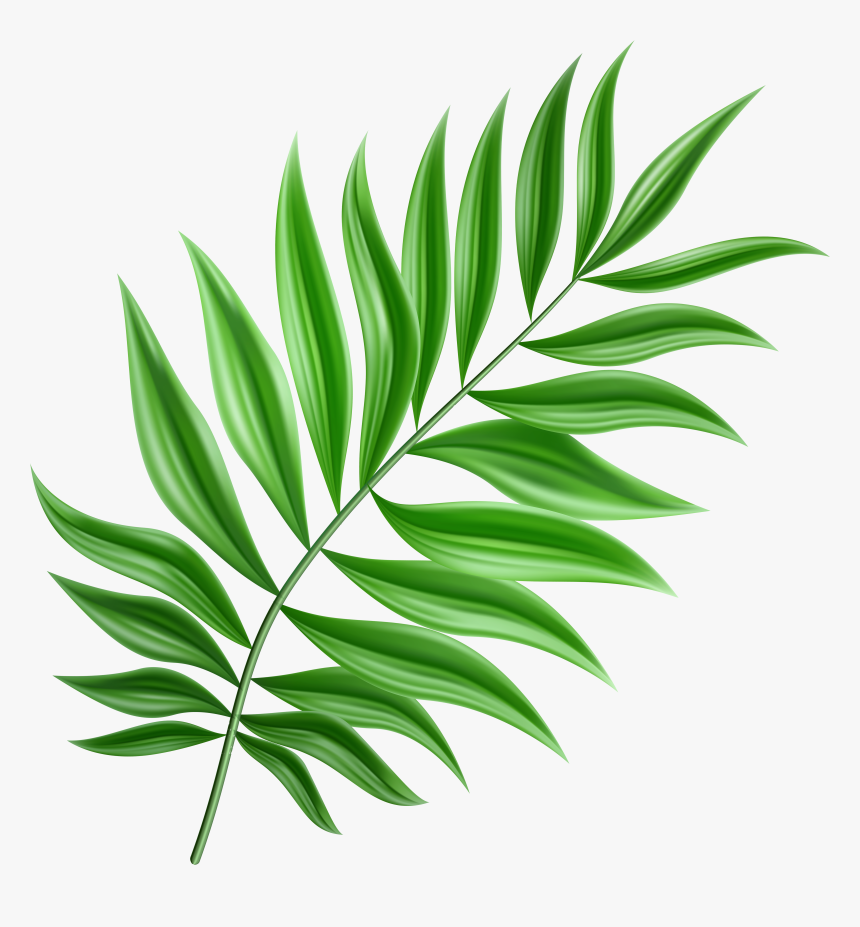Green Leaves PNG Transparent Image​  Gallery Yopriceville - High-Quality  Free Images and Transparent PNG Clipart