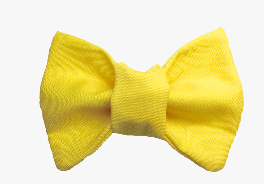 You Are My Sunshine Cat Bow Tie , Png Download - Beige, Transparent Png, Free Download