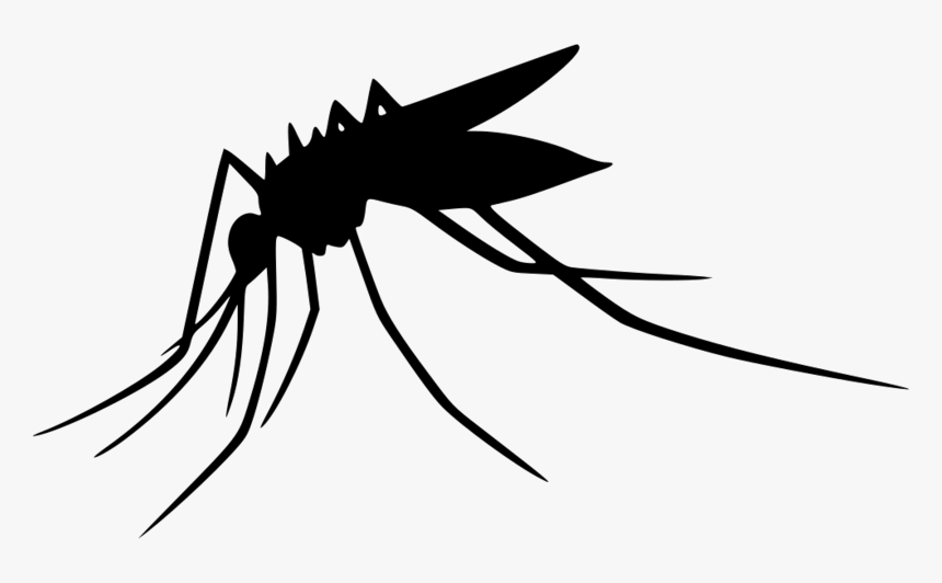 Transparent Bee Silhouette Png - World Mosquito Day 2019, Png Download, Free Download