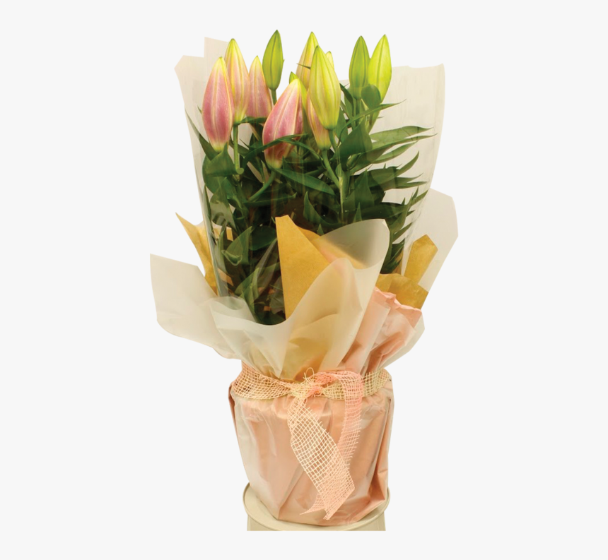 Lily Pot Gift Wrap 1600 1 - Bouquet, HD Png Download, Free Download