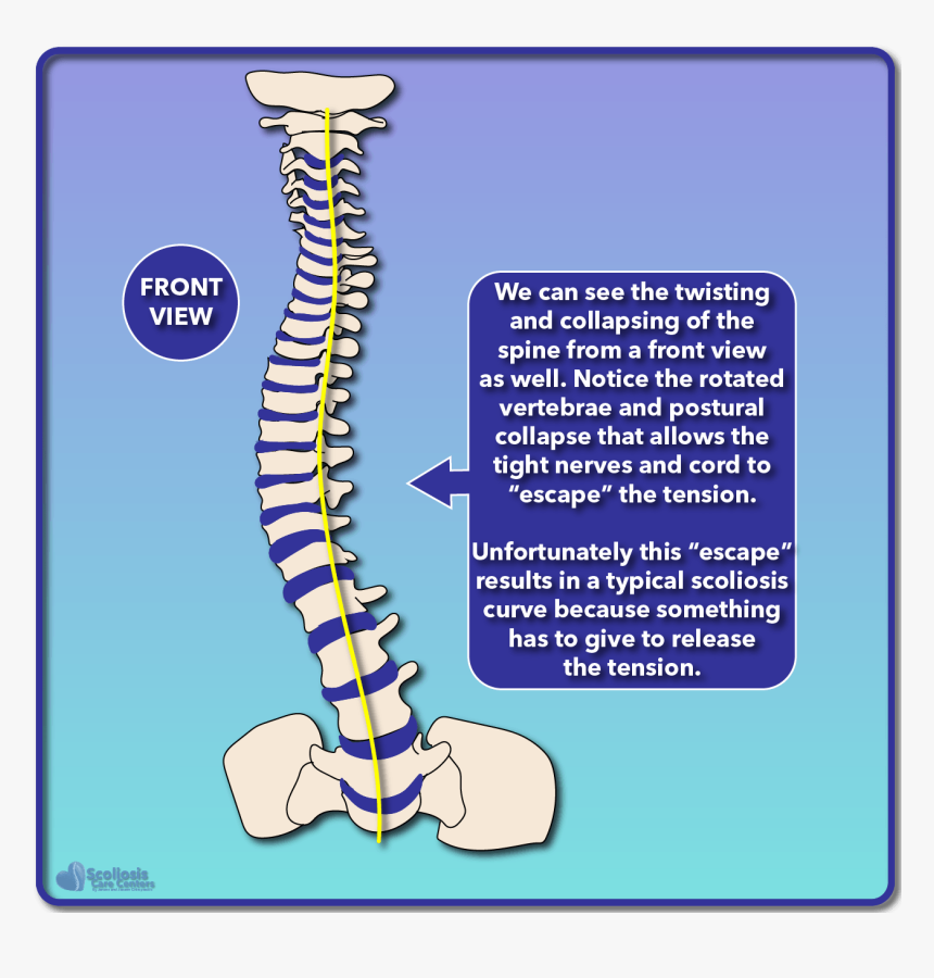 Diagram, HD Png Download, Free Download