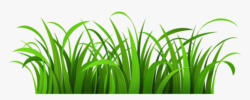 Collection Of High - Transparent Background Grass Clipart, HD Png Download, Free Download