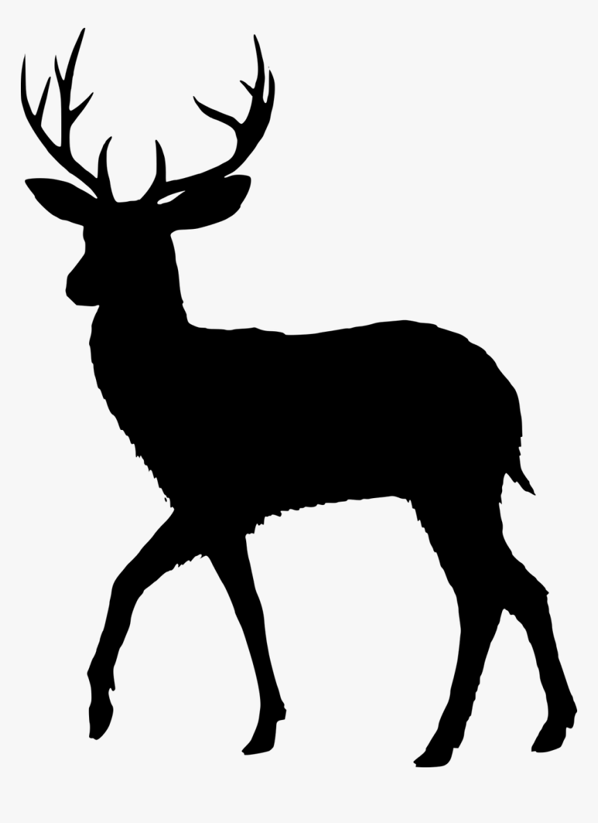 Download Transparent Deer Antlers Silhouette Png - Deer Silhouette Vector, Png Download - kindpng