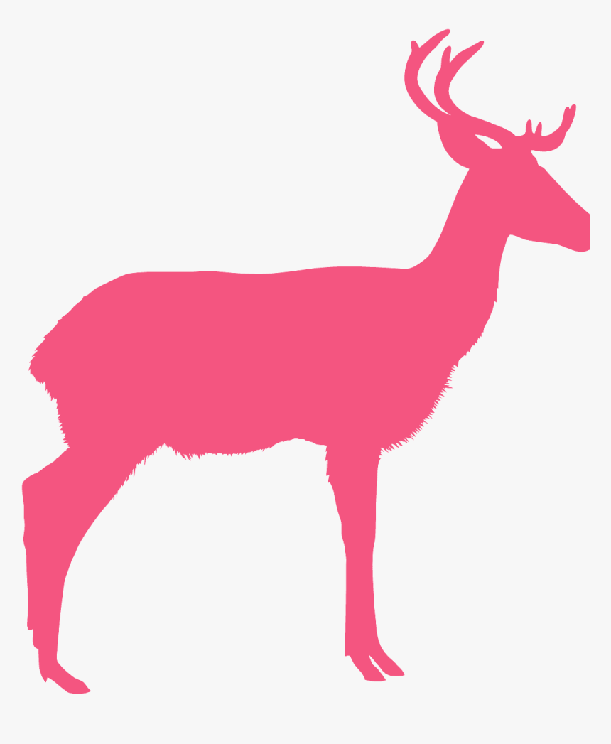 Pink Antelope Clipart, HD Png Download, Free Download