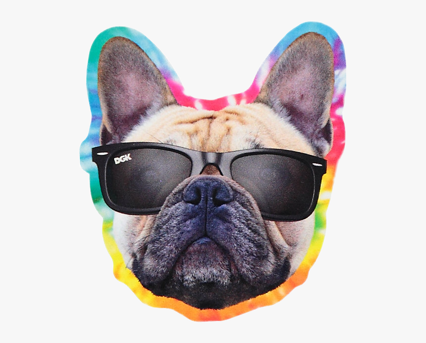 #dog #pug #pitbull #dgk #dj #cool #color #music #tropical - Dgk Yogi Sticker, HD Png Download, Free Download