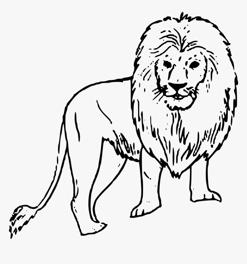 Funny Animal Character Vector Hd Images, Black And White Coloring Book  Cartoon Illustration Of Wild Animal Funny Characters Collection, Car Drawing,  Cartoon Drawing, Animal Drawing PNG Image For Free Download