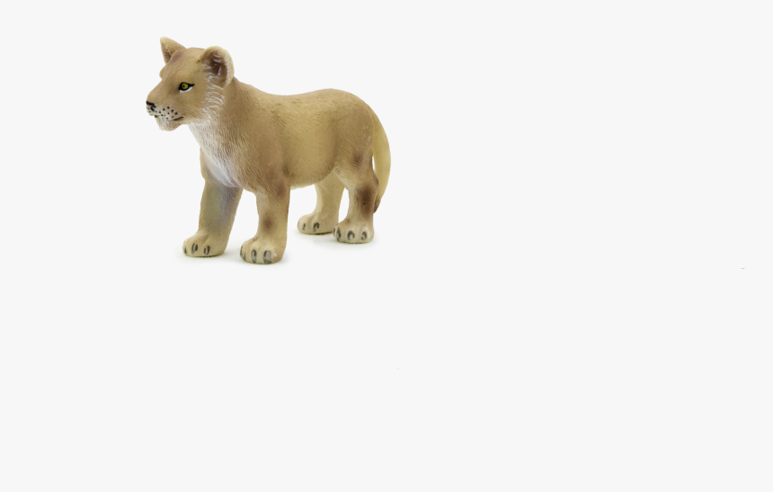 Animal Planet Lion Cub Standing - Lion, HD Png Download, Free Download