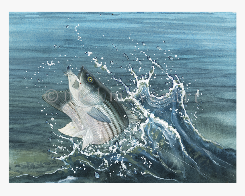 Launching Striper And Deceiver Original Painting - Sea, HD Png Download, Free Download