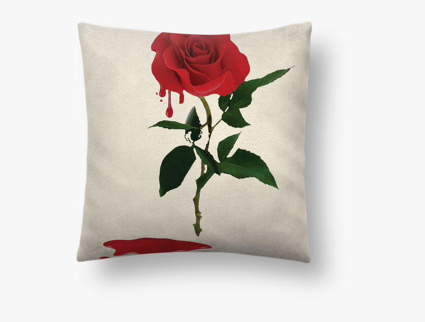 Cushion, HD Png Download, Free Download