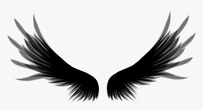 #ftestickers #wings #silhouette - Crow Wings Png, Transparent Png, Free Download