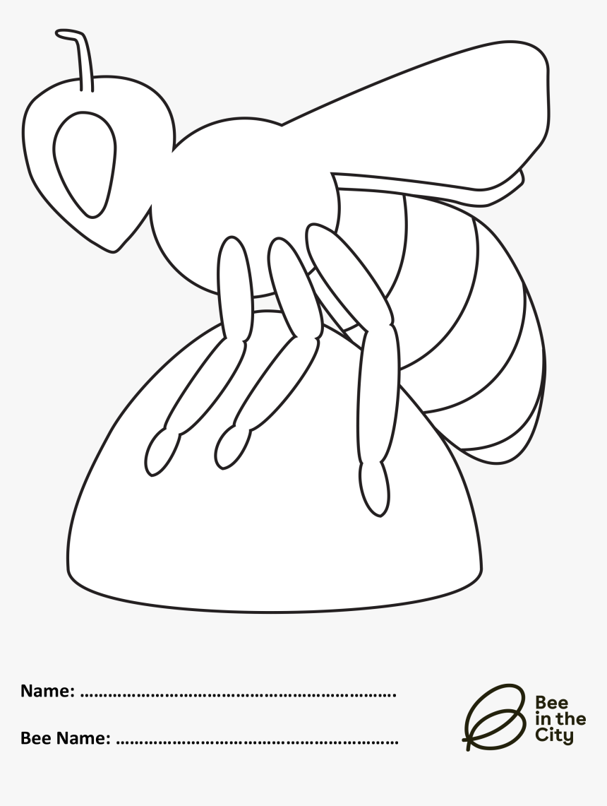 Bee Template - Illustration - American Lobster, HD Png Download, Free Download