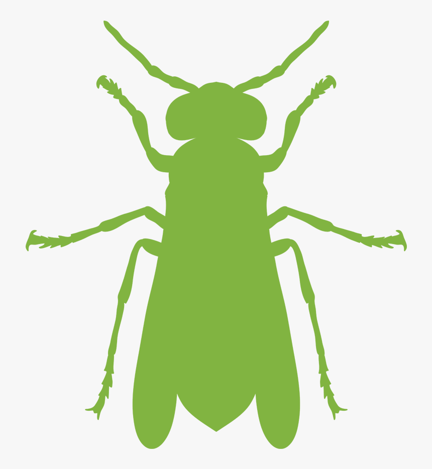 Exterior Wasp Control Treatment - Illustration, HD Png Download, Free Download