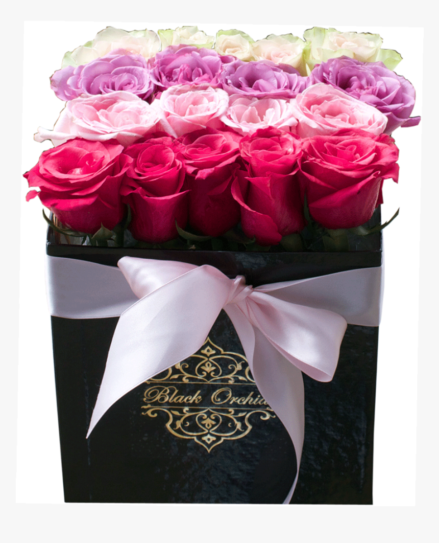 Patricia, Roses In The Box, Flowers In The Box, Box - Box Of Roses Png Transparent, Png Download, Free Download