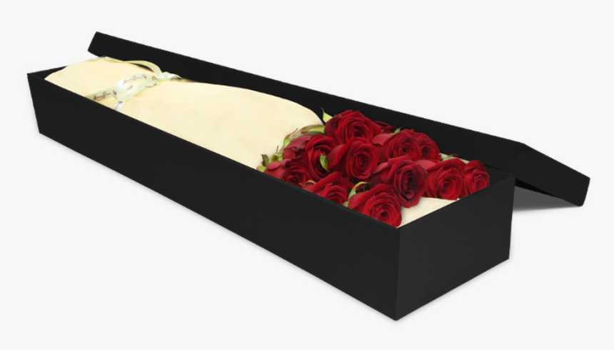 12 Red Roses Gift Box - Garden Roses, HD Png Download, Free Download