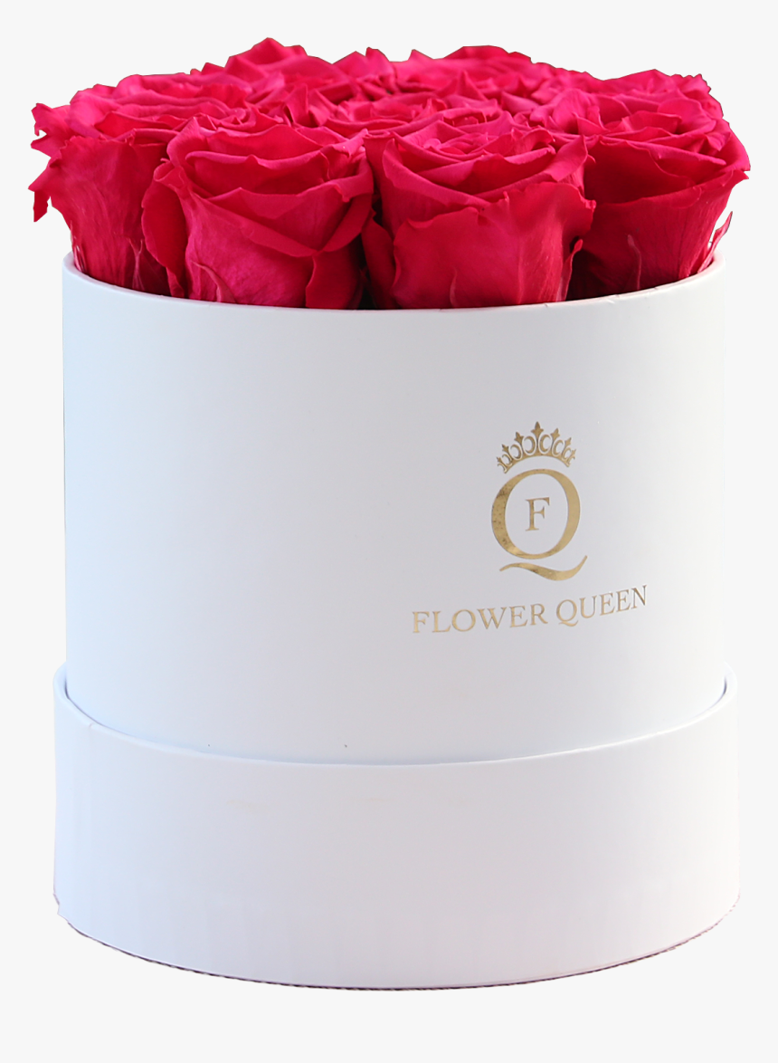 Fuchsia Roses In Medium White Box - Garden Roses, HD Png Download, Free Download