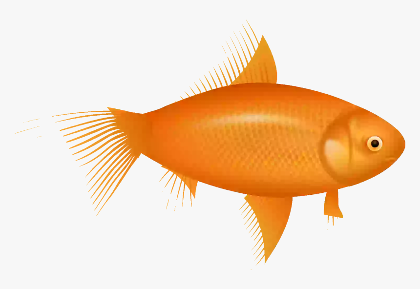 Example Image Of A Fish - Red Fish Clipart, HD Png Download, Free Download