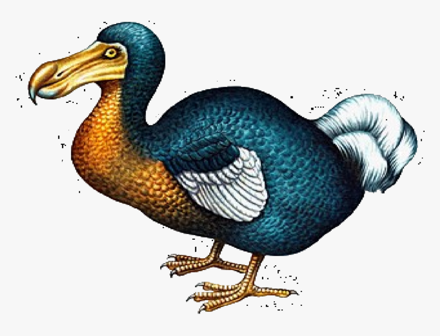 Mauritius Dodo Bird - Dodo Png, Transparent Png, Free Download