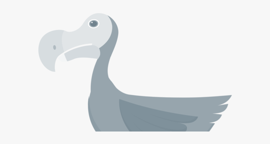   - Dodo, HD Png Download, Free Download