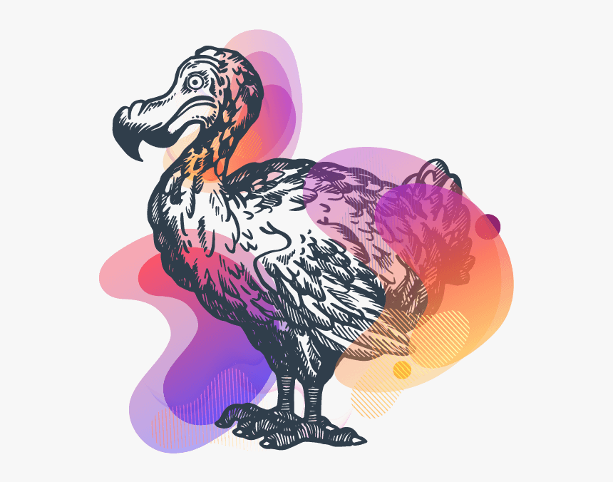 Dodo Images Black And White, HD Png Download, Free Download