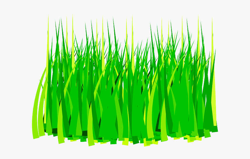 Grass Clip Art Hd Png Download Kindpng 8686