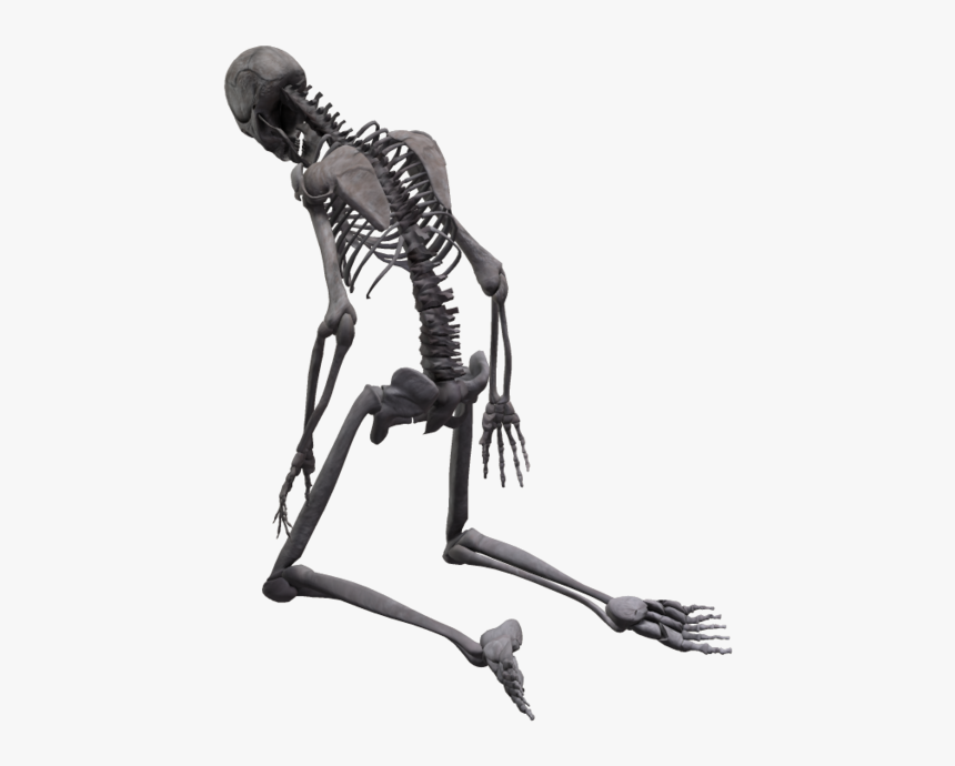 Skeleton Png - Bone Upvote, Transparent Png, Free Download