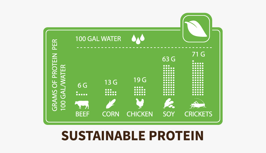 Chapul Why Eat Crickets - Should We Eat Crickets, HD Png Download, Free Download