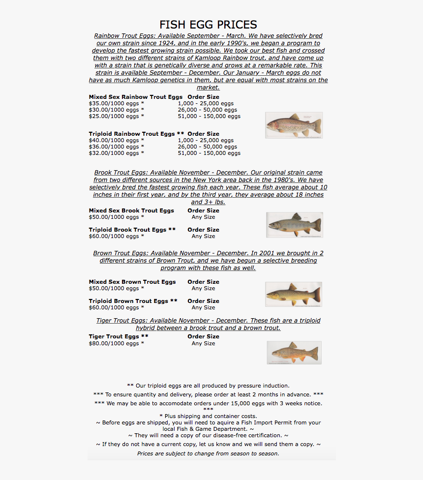 Cold Springs Trout Egg Prices - Requiem Shark, HD Png Download, Free Download