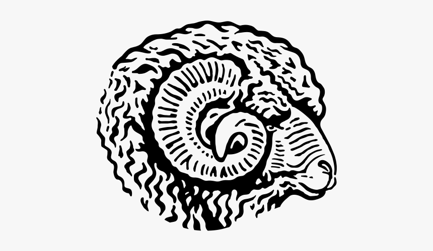 Line Book - Rams Head Png, Transparent Png, Free Download