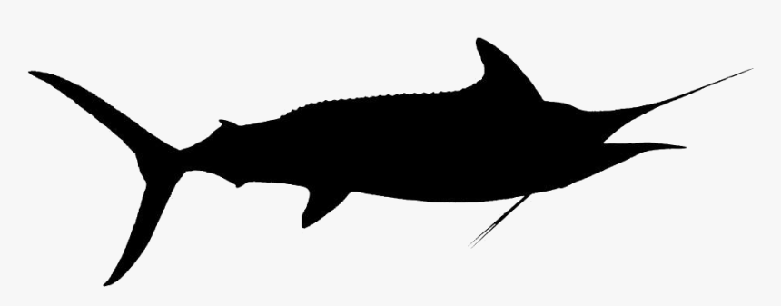 Black Strip Fish Transparent Background - Swordfish, HD Png Download, Free Download