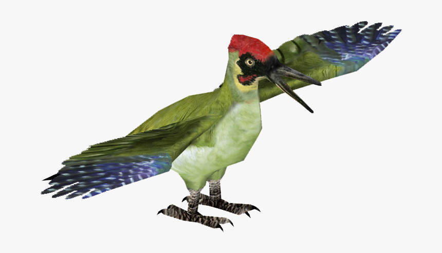 European Green Woodpecker - Parrot, HD Png Download, Free Download