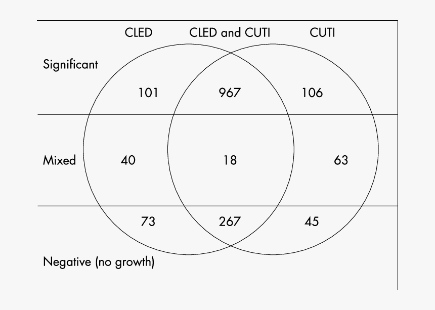 Diagram, HD Png Download, Free Download