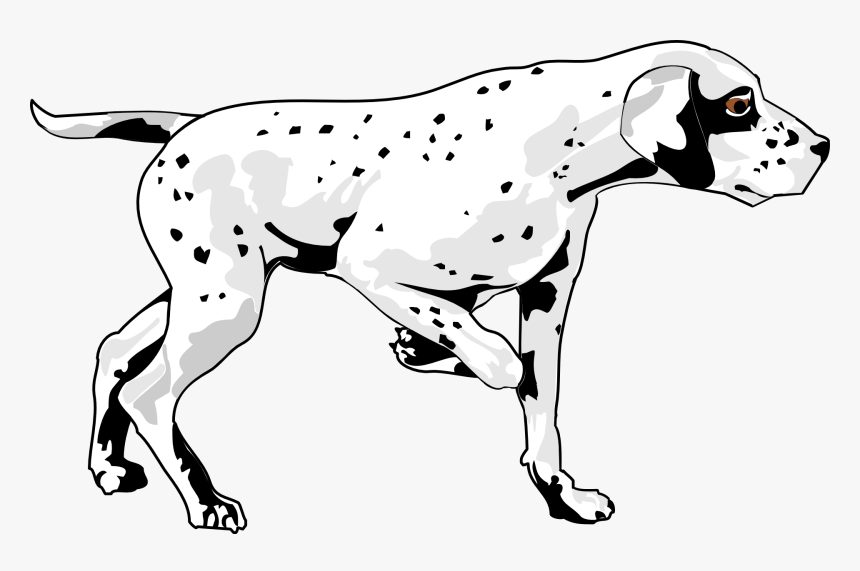 Basset Hound Dalmatian Dog Puppy Pet - Imagen De Un Perro Caminando, HD Png Download, Free Download