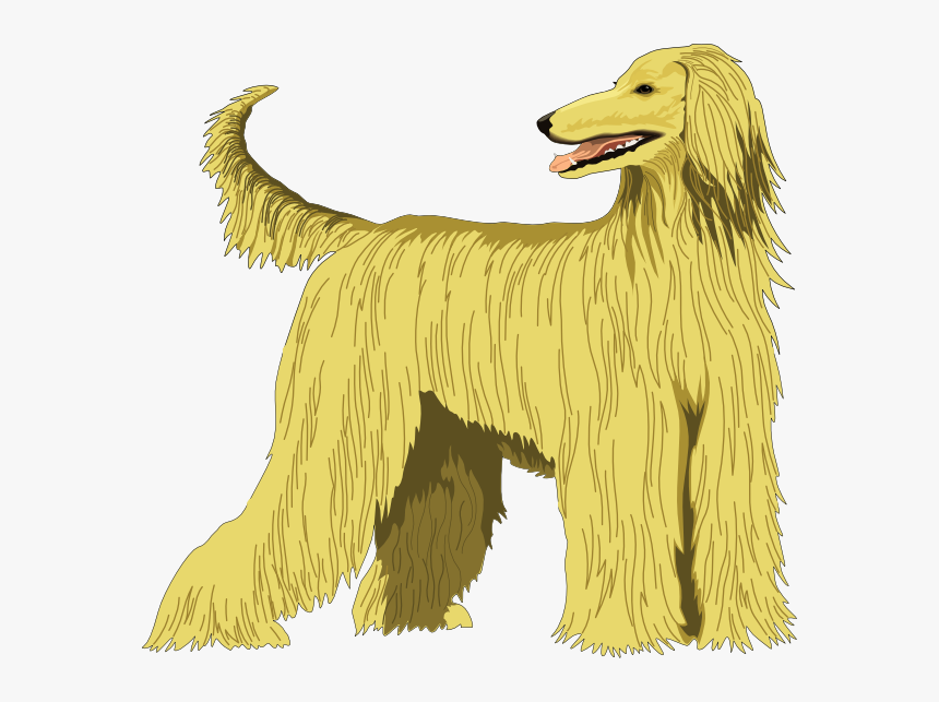 Afghan Hound Svg Clip Arts - Afghan Hound Clipart, HD Png Download, Free Download