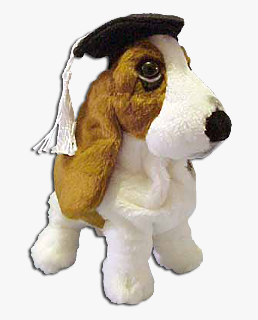 Graduation Hushpuppy Basset Hound Puppy Dog
 Introduced - Cuddly Collectibles Dog, HD Png Download, Free Download