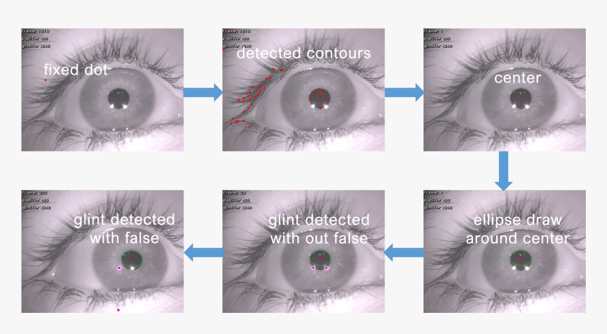 Eye Pupil Process , Png Download - Close-up, Transparent Png, Free Download