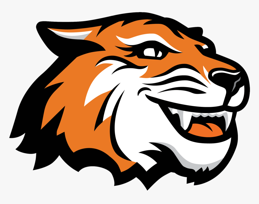 Camp Tiger - Rochester Institute Of Technology Mascot, HD Png Download, Free Download