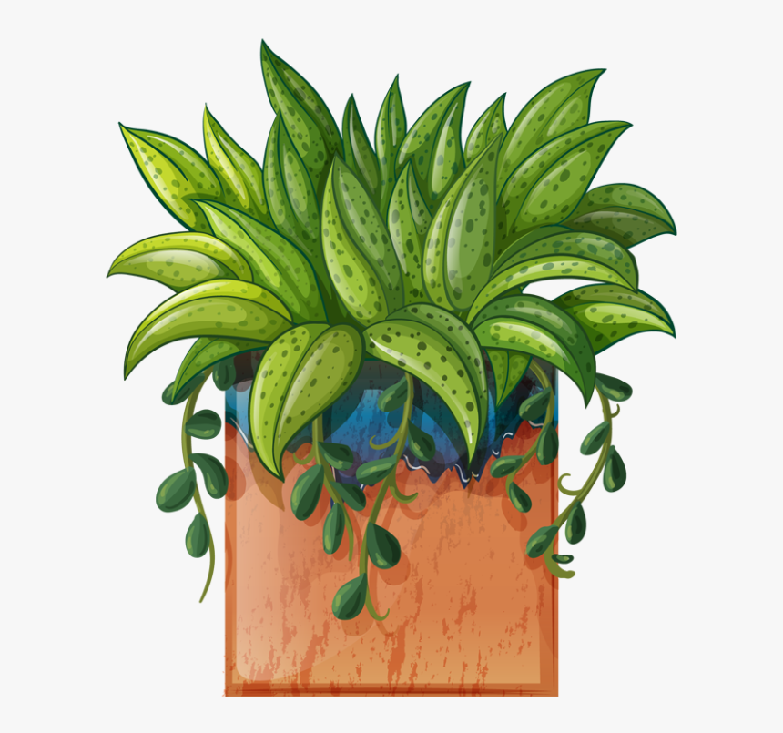 Small Plants For - Potted Plant Clipart, HD Png Download, Free Download